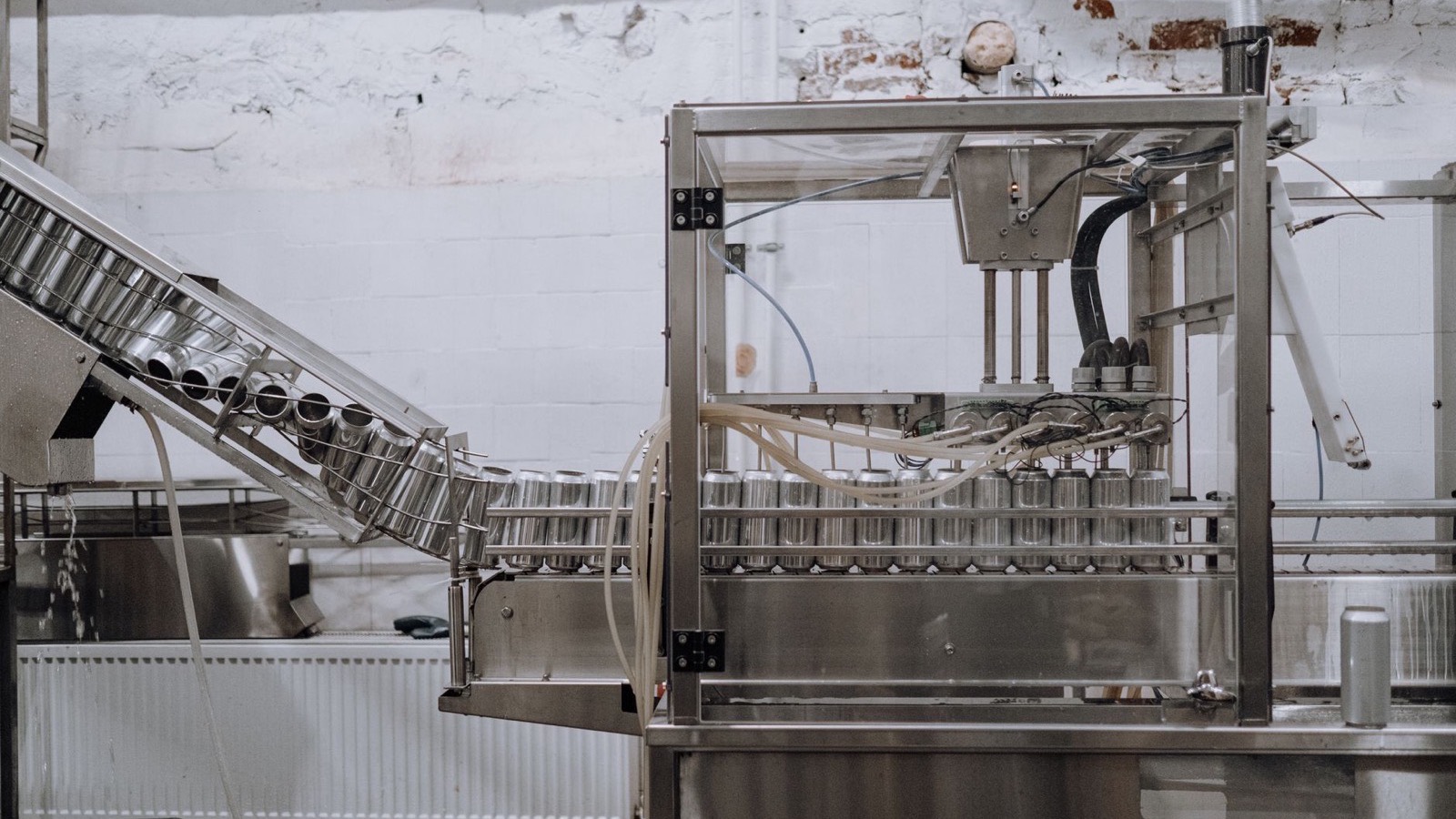 A stainless conveyor and transfer arm on a packing line