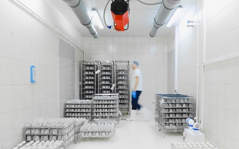 Metal racking inside a chilled storage room